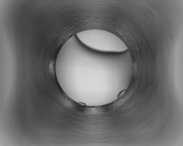 X0000112200286200908071249