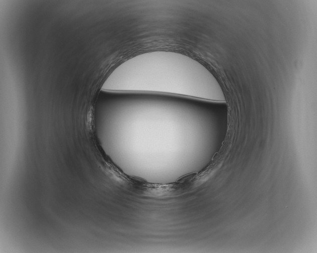 X0000112200288200908071249