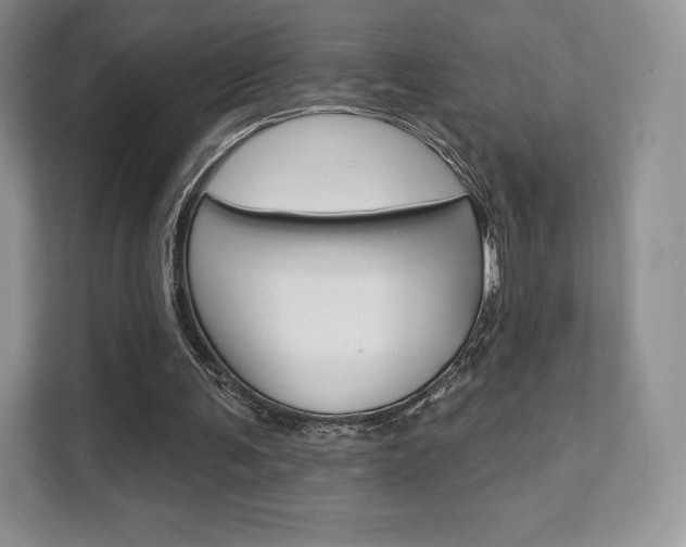 X0000112200291200908071248
