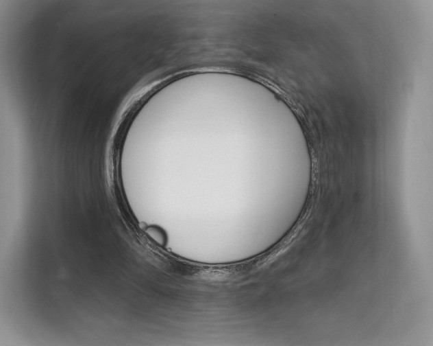 X0000112200294200908071248