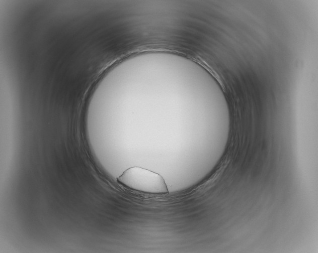 X0000112200301200908071248