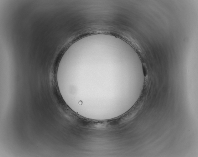 X0000112200306200908071248
