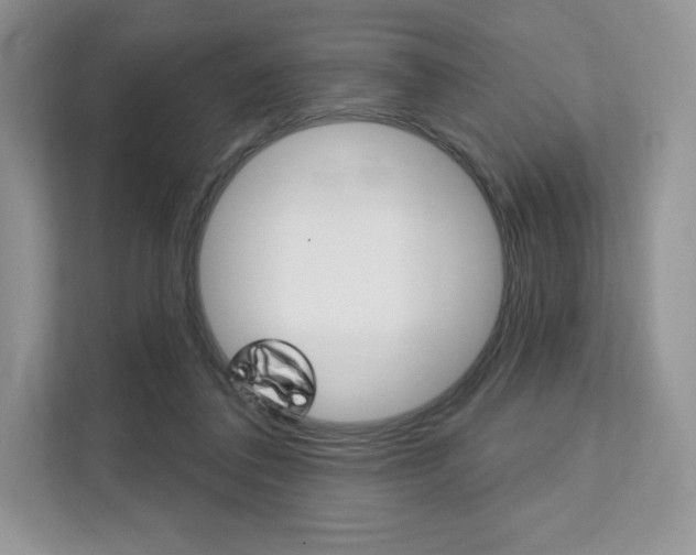 X0000112200308200908071248
