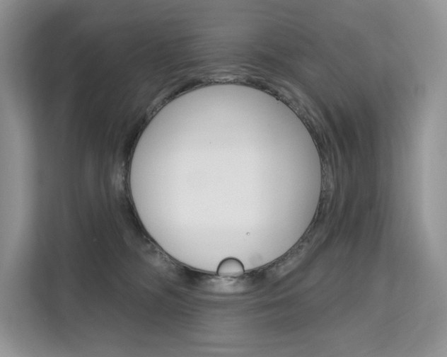 X0000112200326200908071248