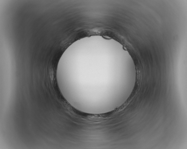 X0000112200331200908071248