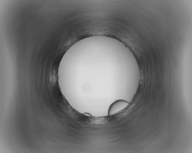 X0000112200334200908071248