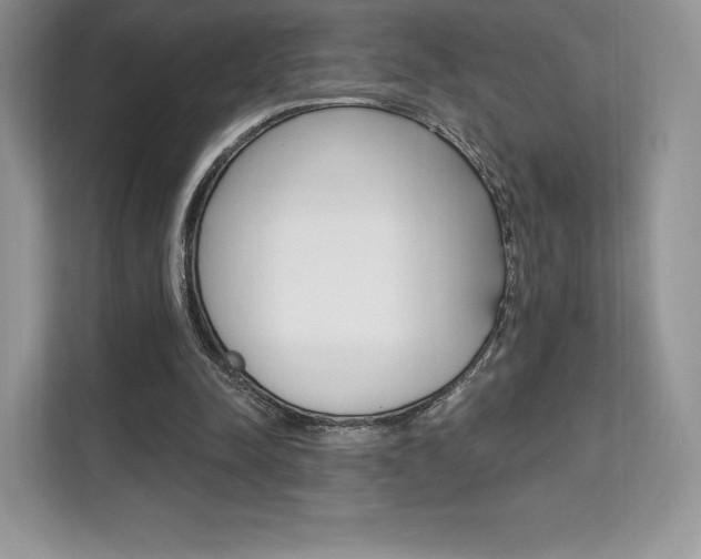 X0000112200342200908071247