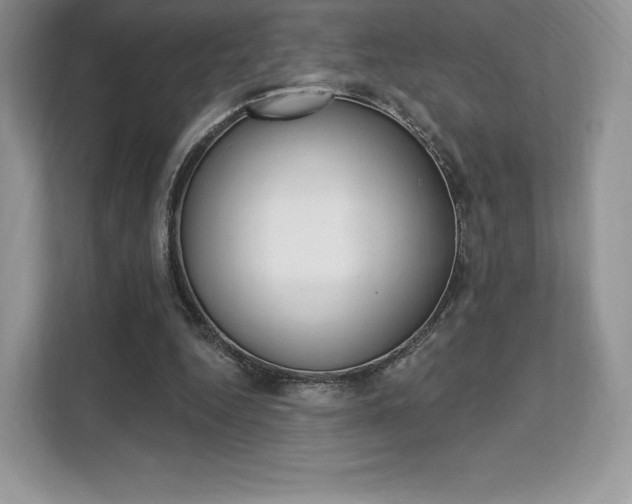 X0000112200344200908071247