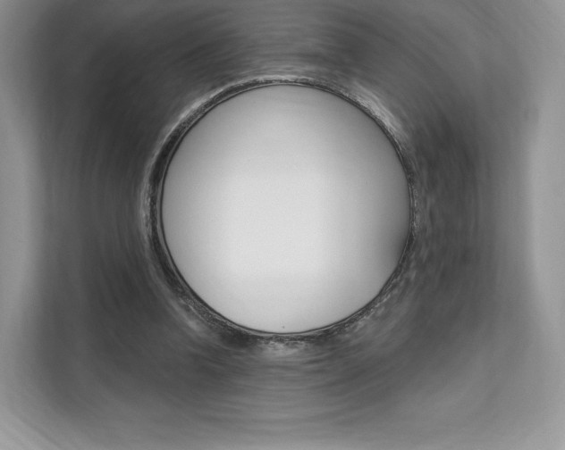 X0000112200346200908071247