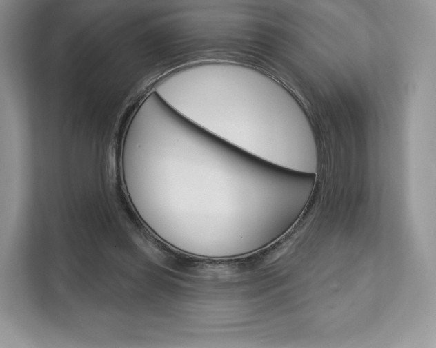 X0000112200349200908071247
