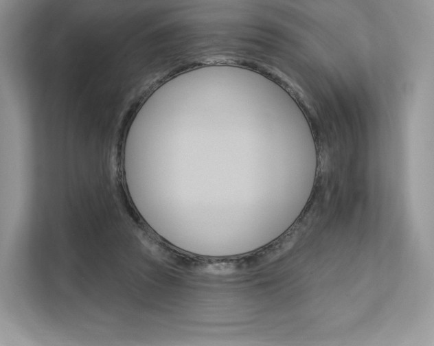 X0000112200353200908071247