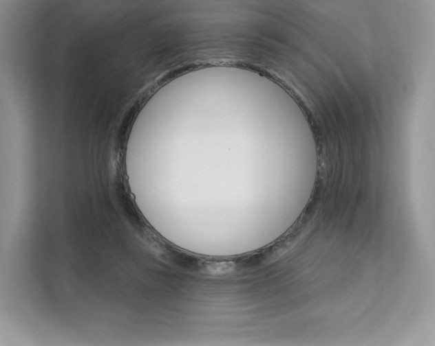 X0000112200355200908071247
