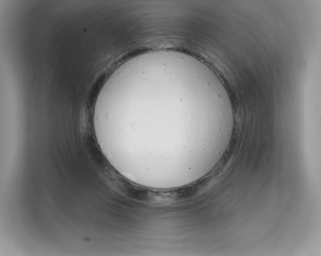 X0000112200359200908071247