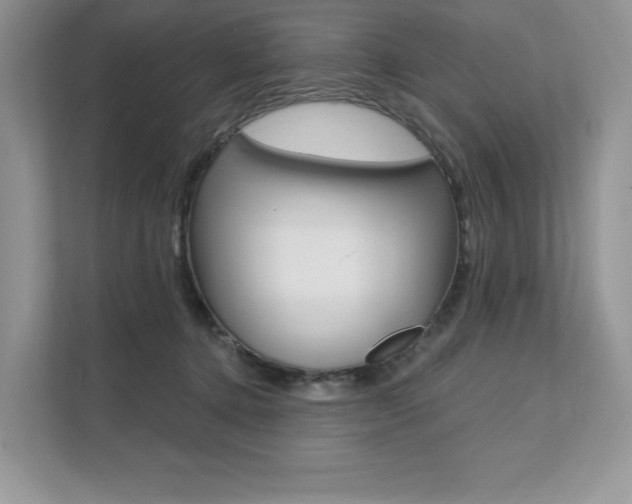X0000112200368200908071248