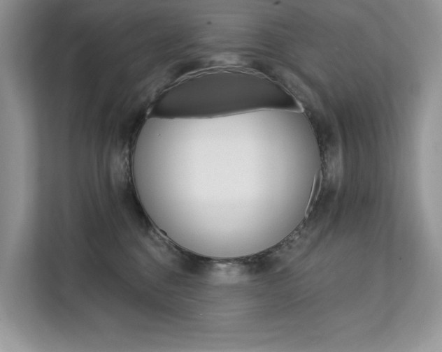 X0000112200376200908071248