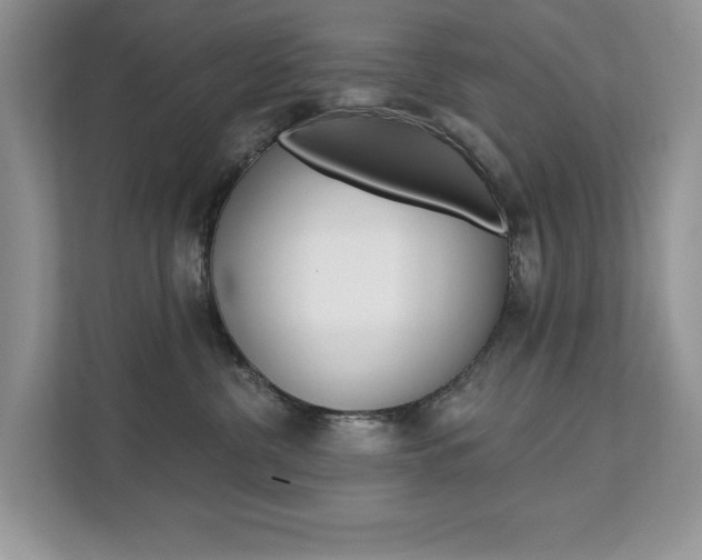 X0000112200380200908071248