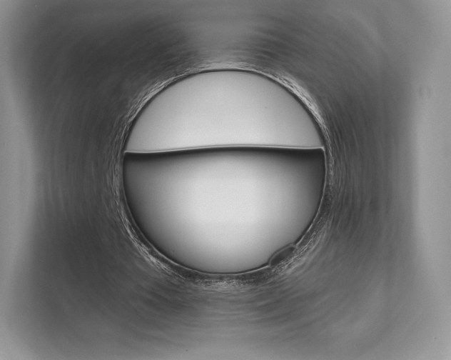 X0000112200385200908071247