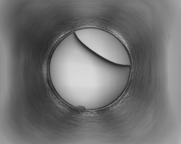 X0000112200386200908071247