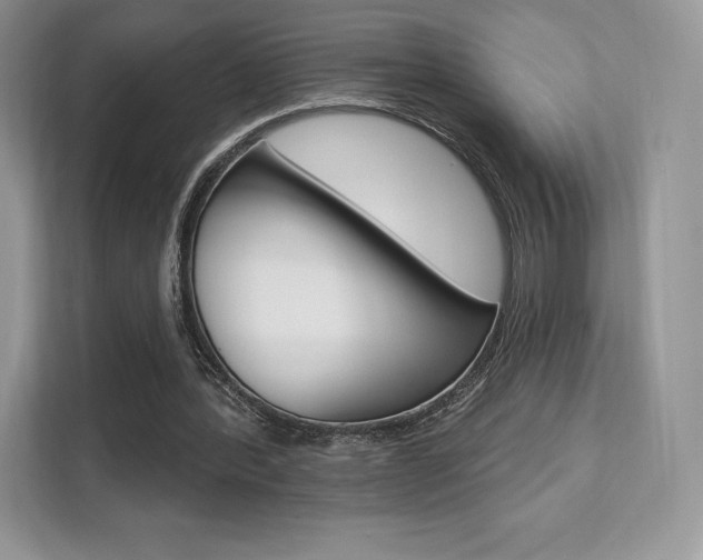 X0000112200388200908071247