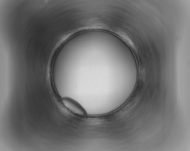 X0000112200389200908071247