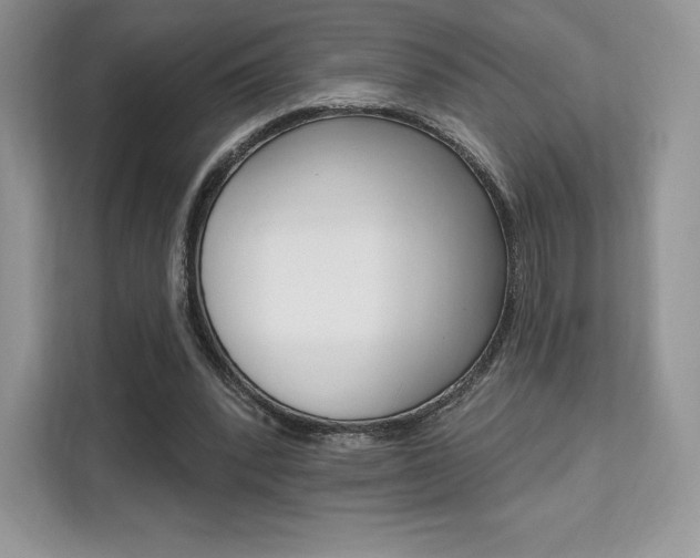 X0000112200392200908071247