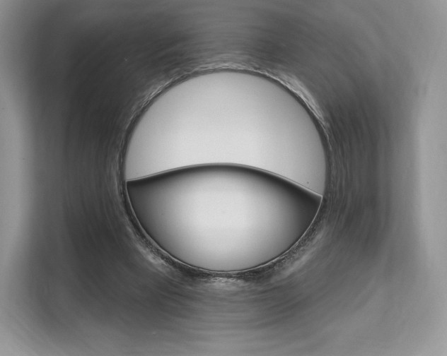 X0000112200393200908071247
