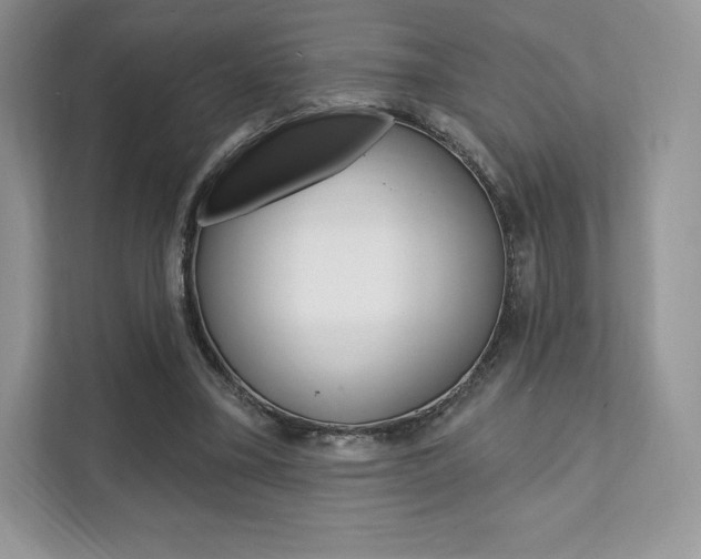 X0000112200395200908071247