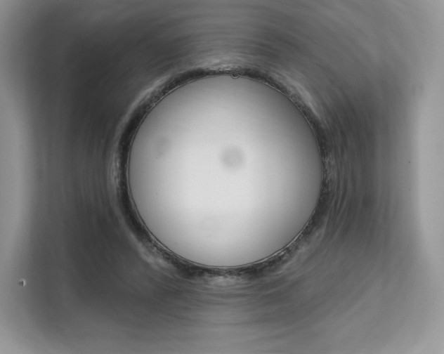 X0000112200400200908071247