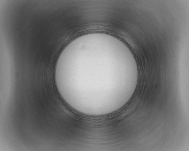 X0000112200411200908071247