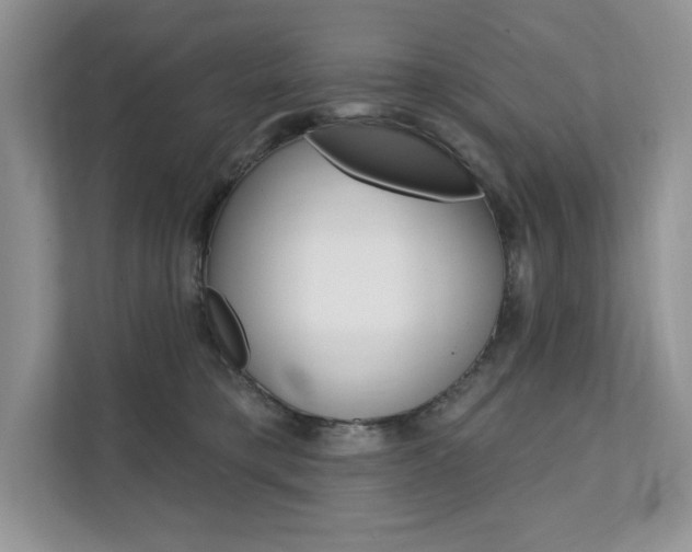 X0000112200421200908071247