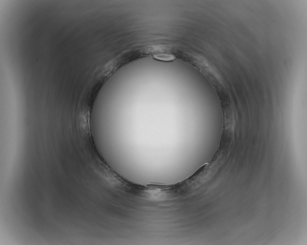 X0000112200425200908071247