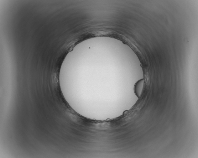 X0000112200426200908071247
