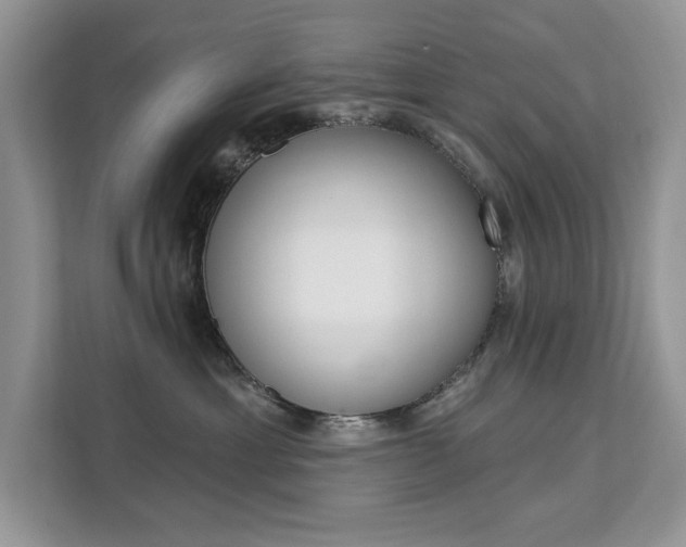 X0000112200429200908071247