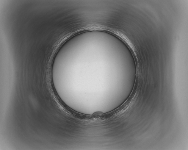X0000112200433200908071246