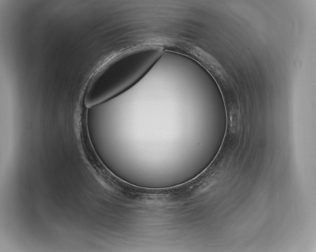 X0000112200436200908071246