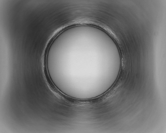 X0000112200438200908071246