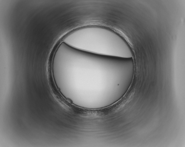 X0000112200439200908071246