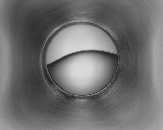 X0000112200440200908071246