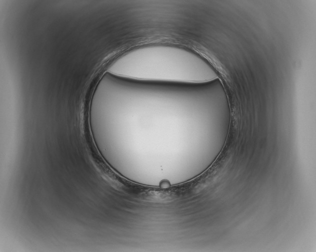 X0000112200442200908071246