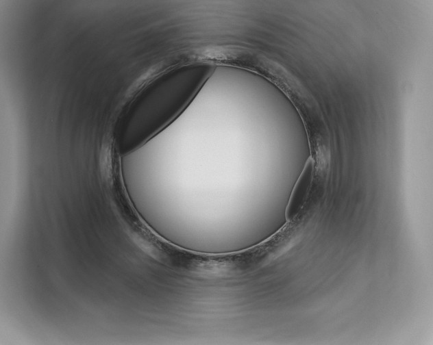 X0000112200444200908071246