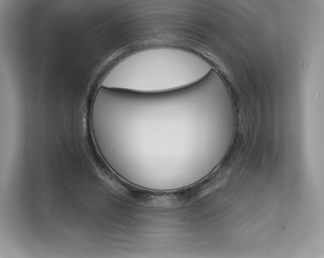 X0000112200446200908071246