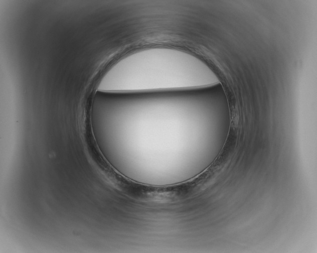 X0000112200448200908071246