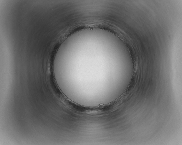 X0000112200452200908071246