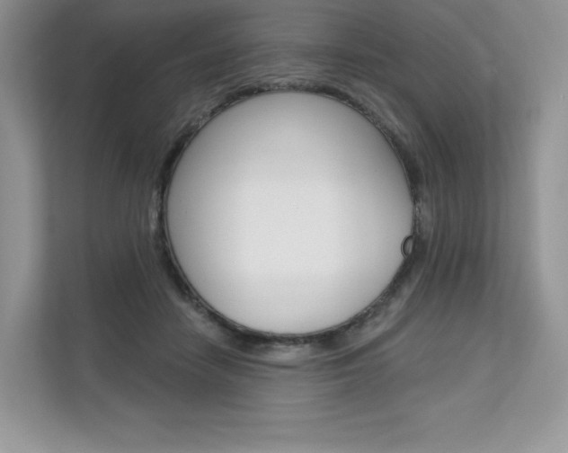 X0000112200458200908071246
