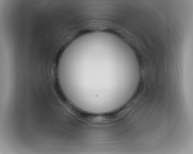 X0000112200460200908071246