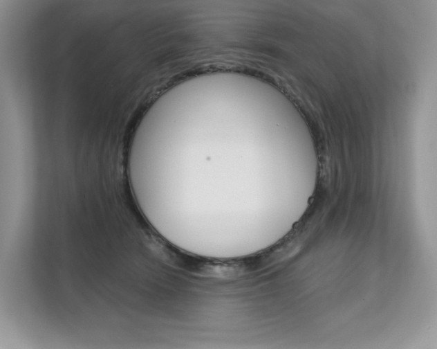 X0000112200466200908071246