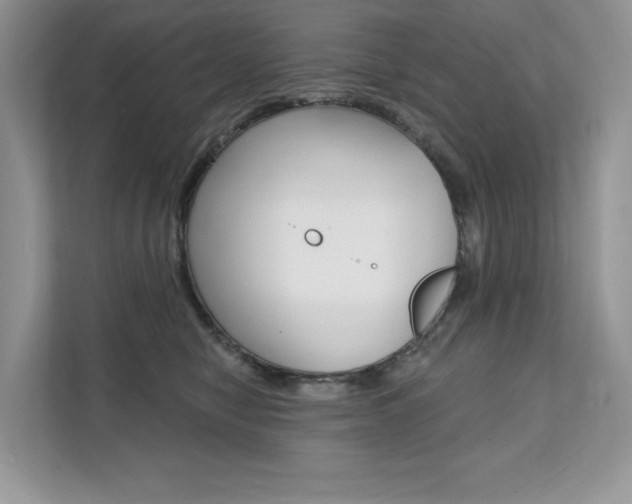 X0000112200470200908071246