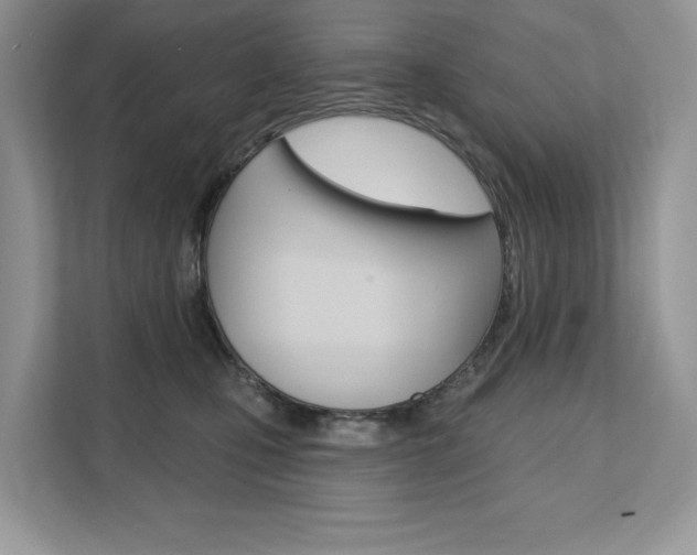 X0000112200471200908071246
