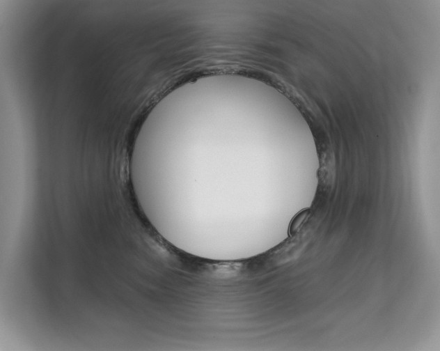 X0000112200474200908071246
