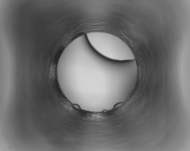 X0000112200475200908071246